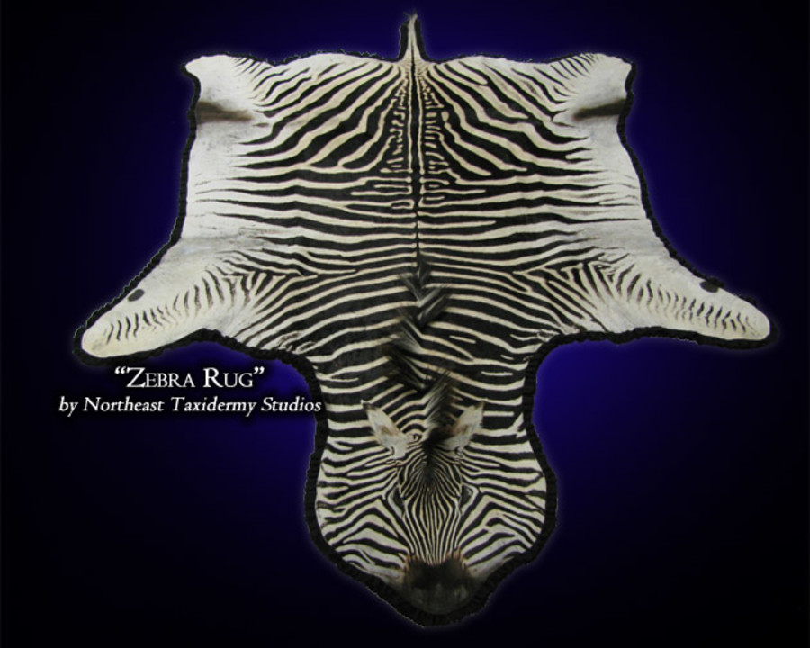 Zebra Mounts.