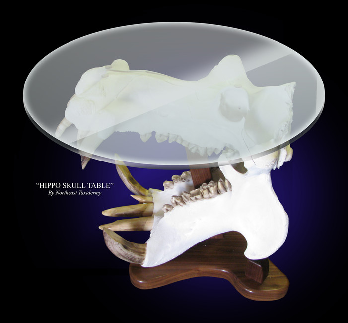 Hippo Skull Table
