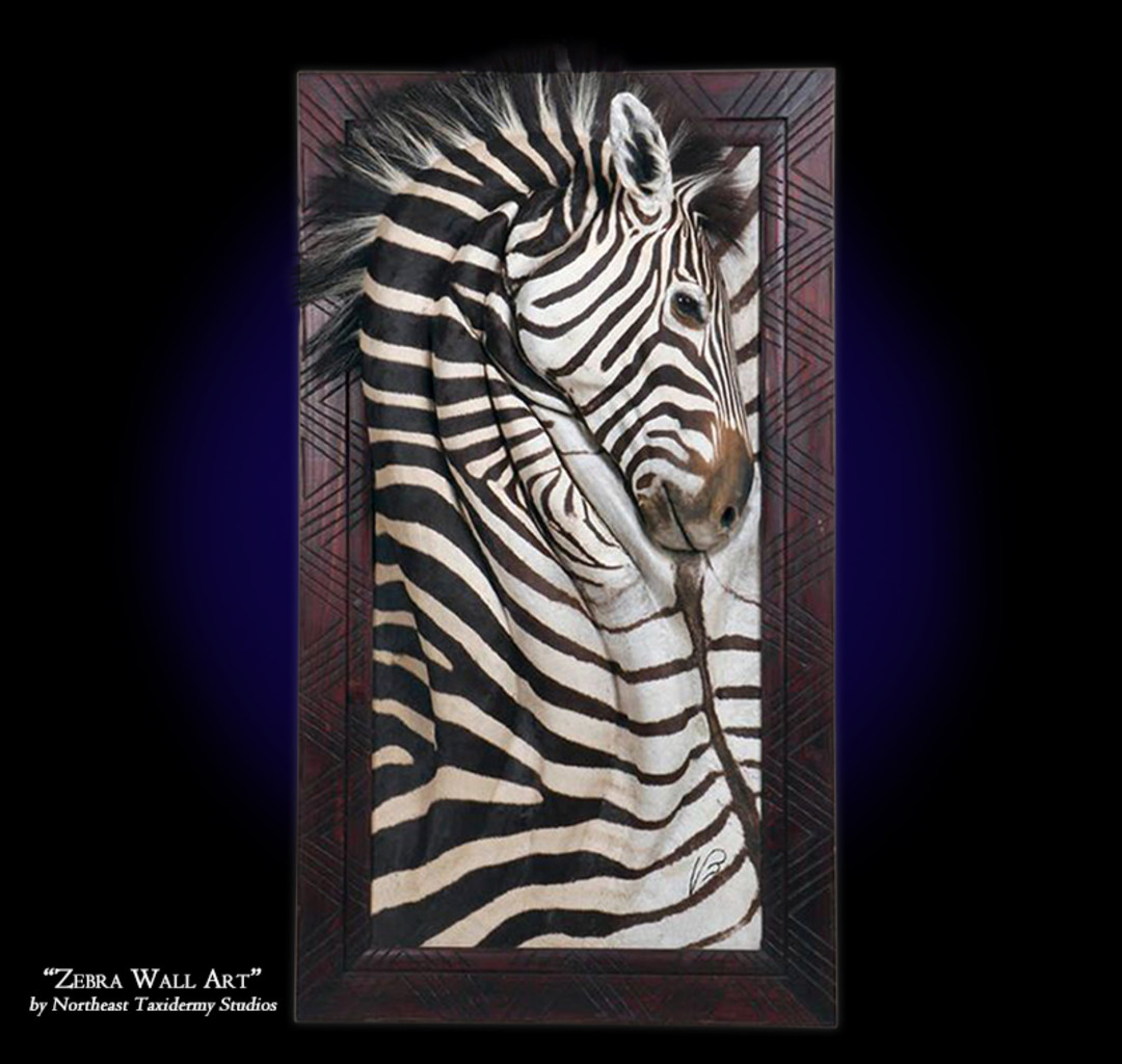 Zebra Wall Art Mount, Zebra Wall Art Taxidermy