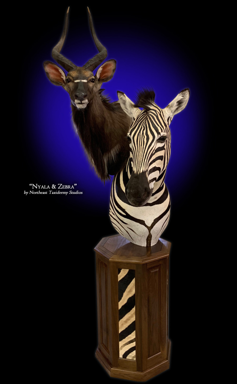 Nyala and Zebra Pedestal  Mounts.