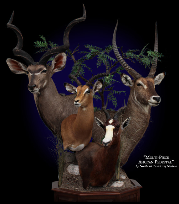 Kudu, Impala, Blesbok, Waterbuck Pedestal