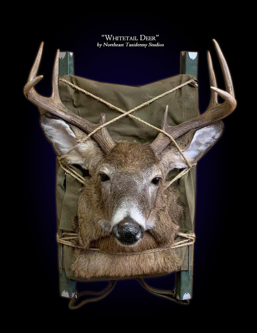 Whitetail Deer Backpack