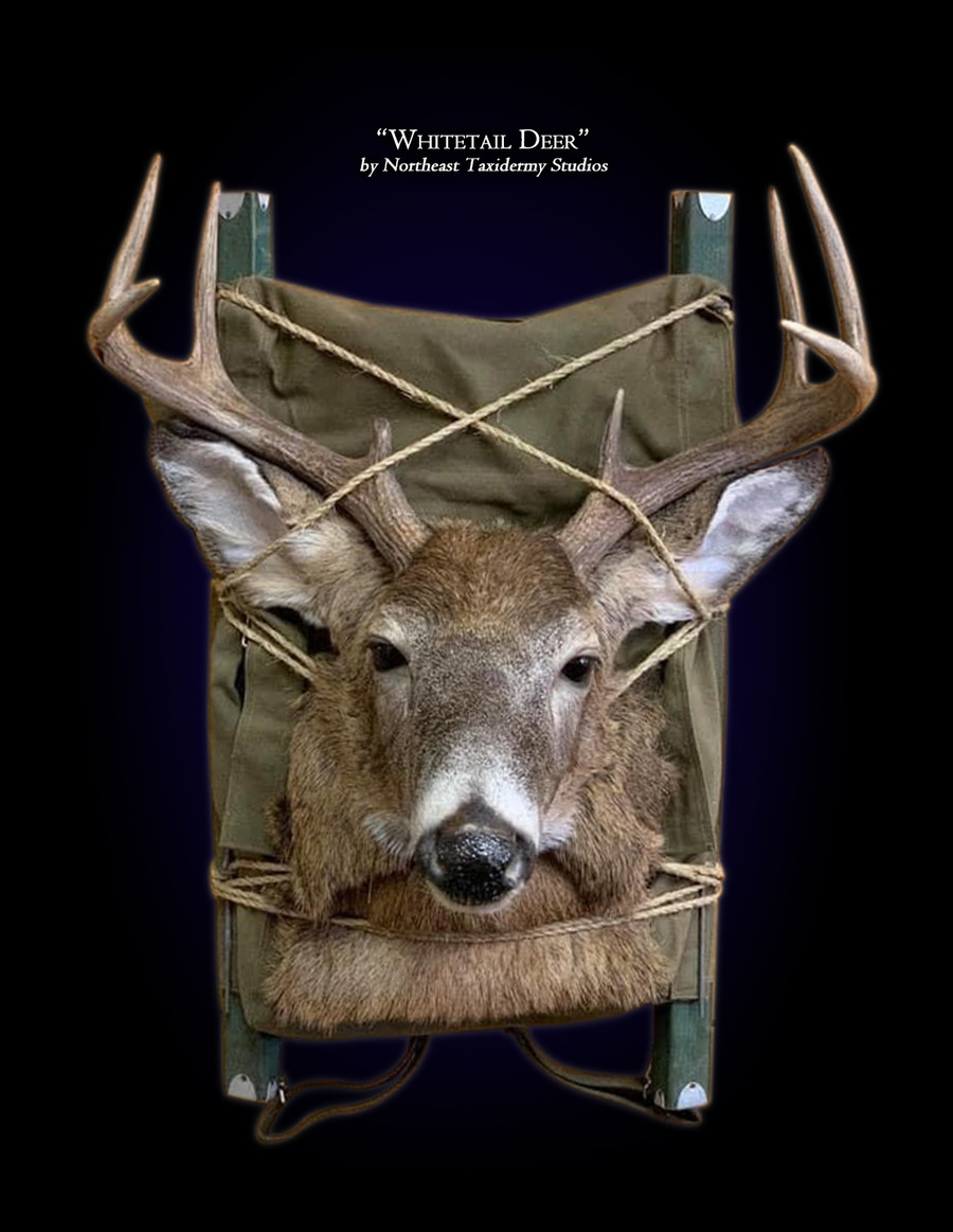 Whitetail Deer Backpack Mounts.