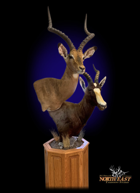Impala and Blesbok Pedestal