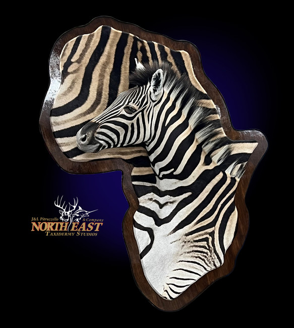Zebra Wall Mount African Map
