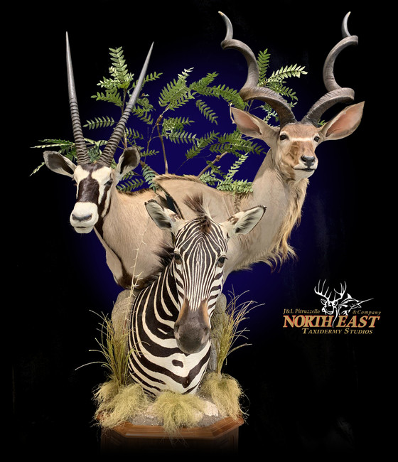 Zebra, Gemsbok and Kudu