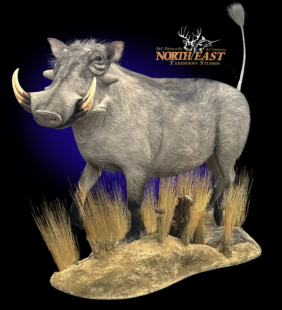 Warthog Mounts.