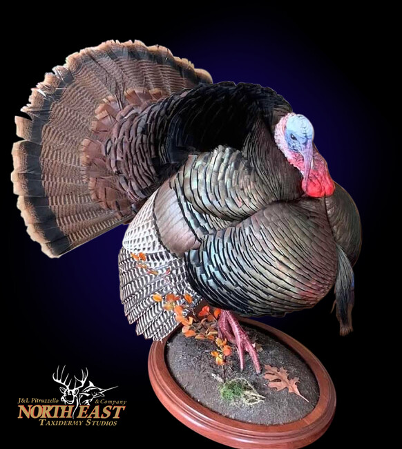 Turkey