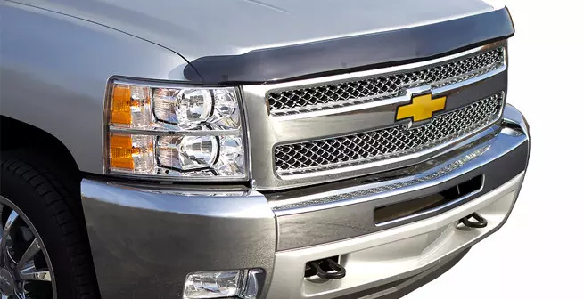 Interceptor Bug Shield