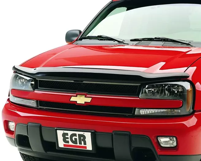 Chevy Trailblazer Bug Guard