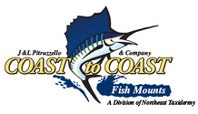 Branding a new division, and creating an eCommerce and Internet Marketing Experience for Coast-to-Coast Fish Mounts