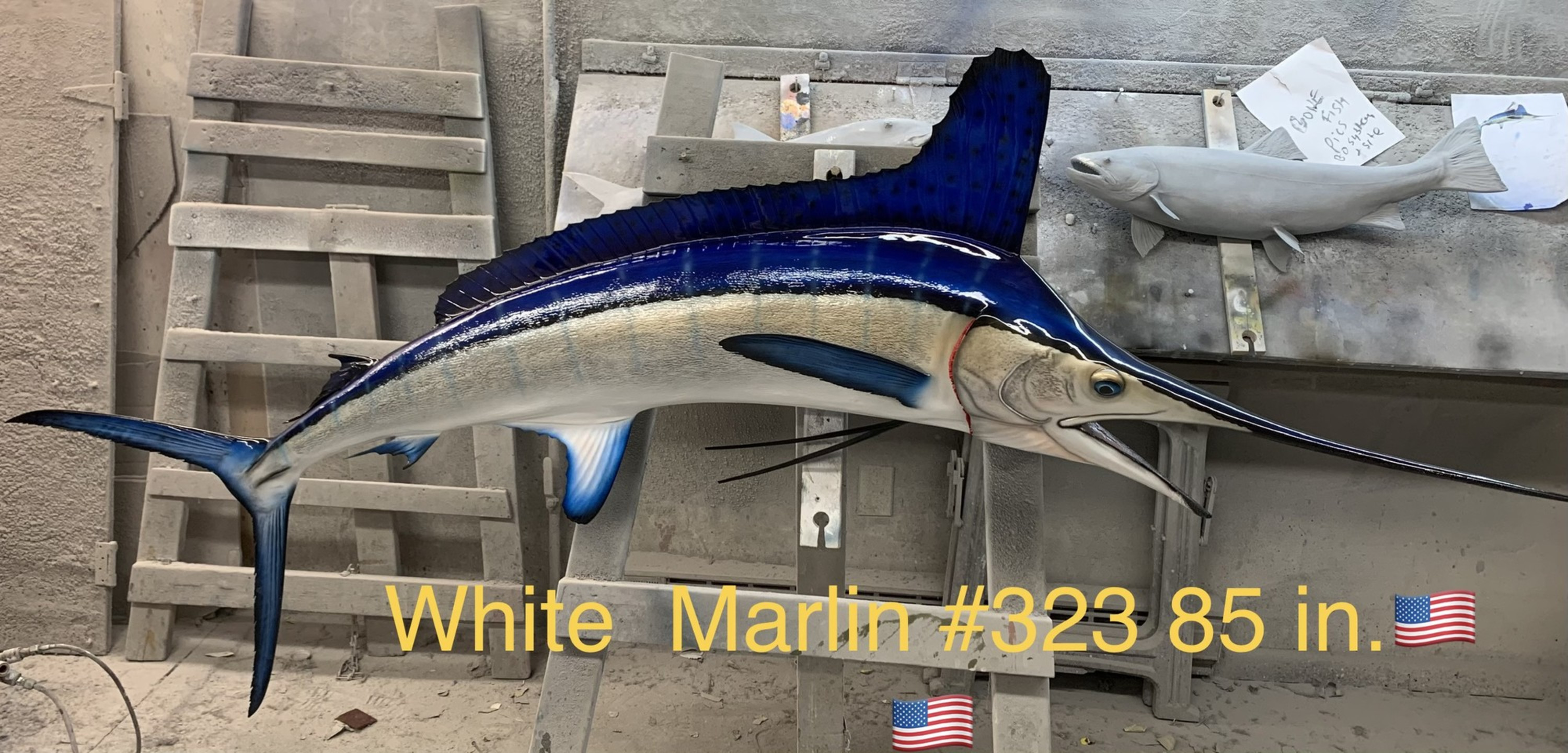 White Marlin - The Complete Guide