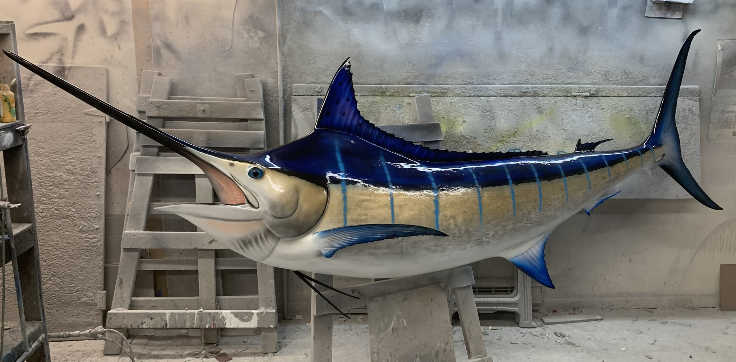 Blue Marlin fish mount at Gray Taxidermy