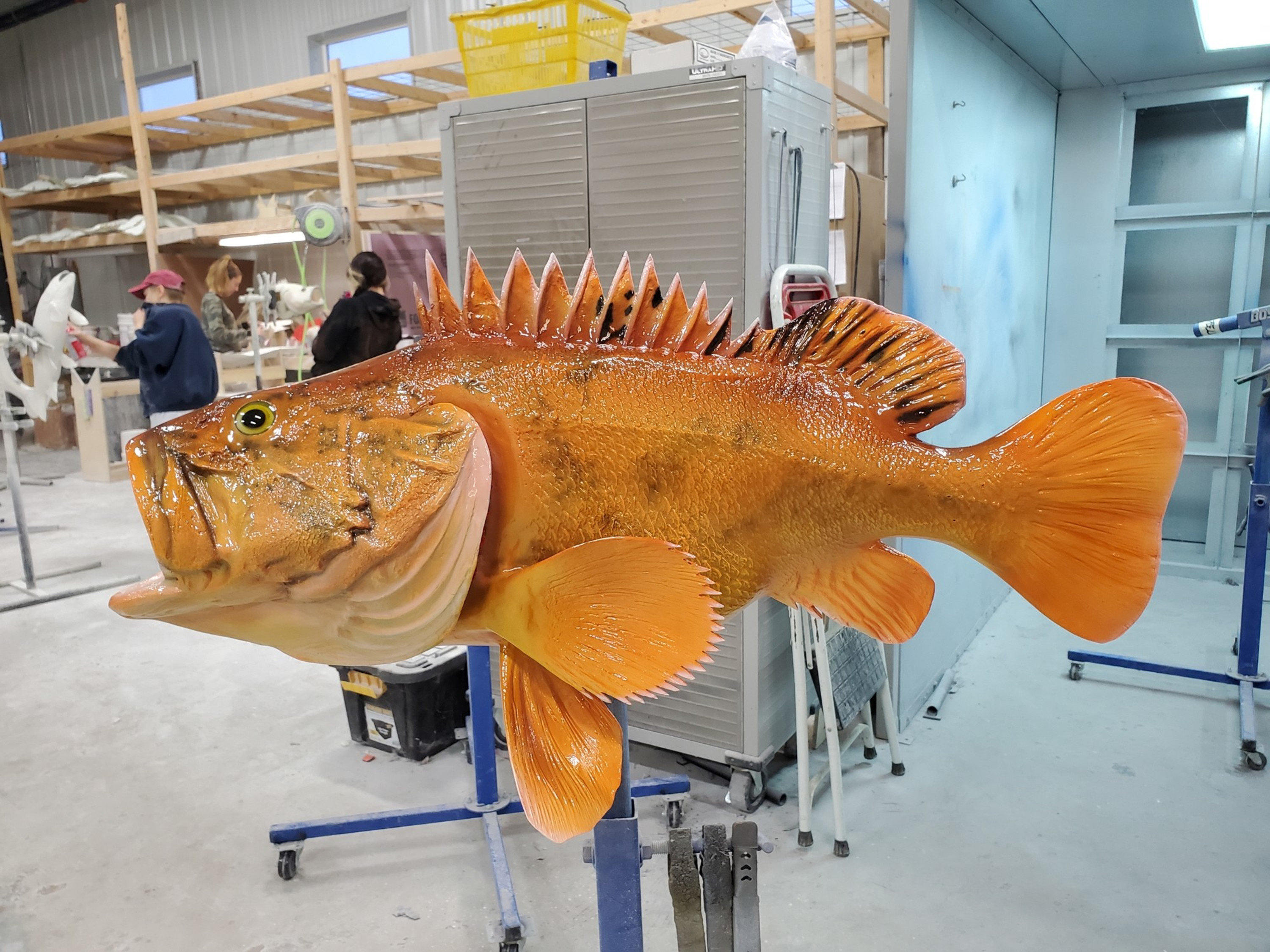 Pacific Golden-eyed Tilefish