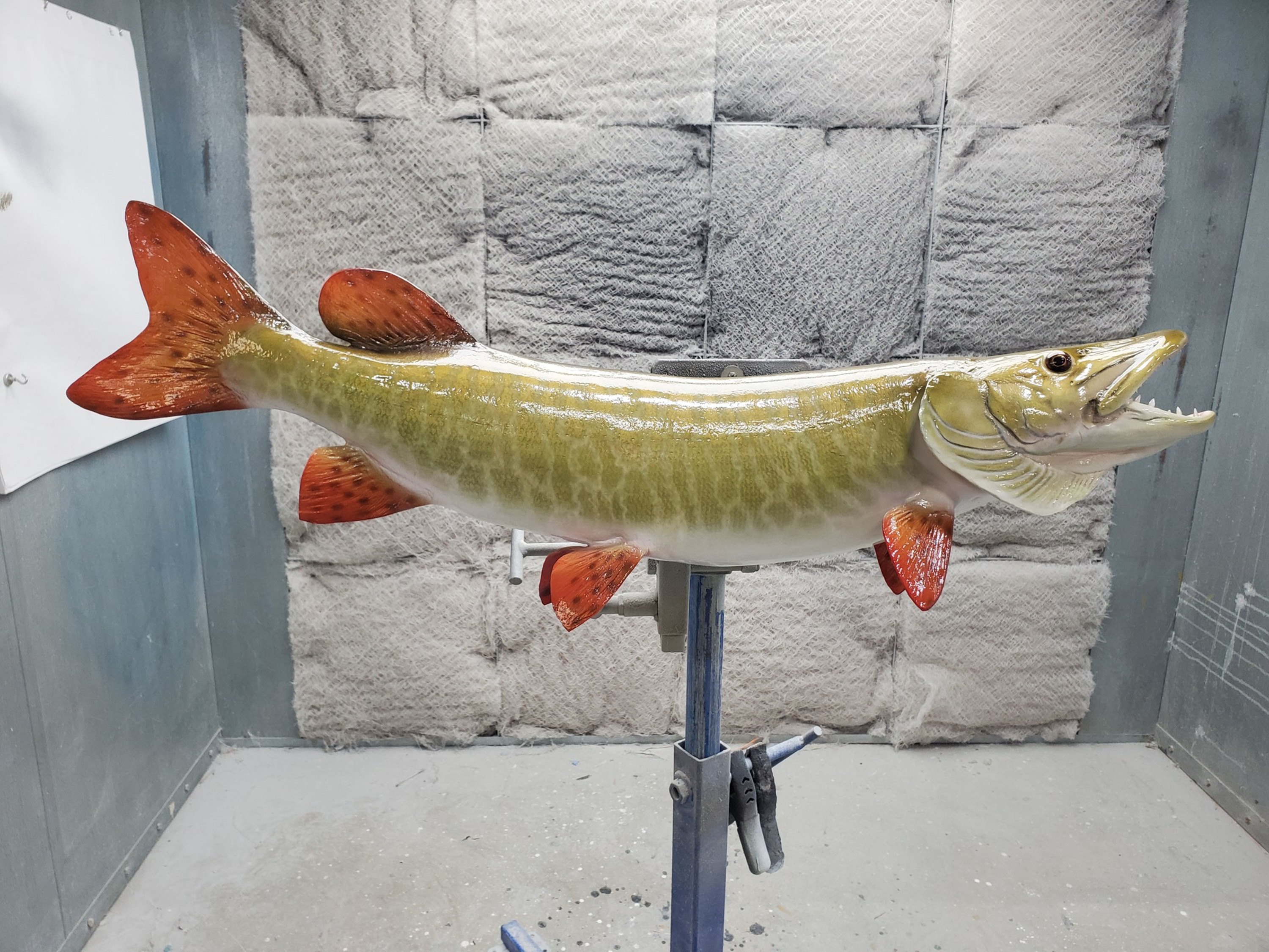 42 Inch Tiger Musky 2D Fish Mount Wall Replica Flat Metal, Realistic Musky  Replica, Lodge Decor, Cabin Decor -  Canada