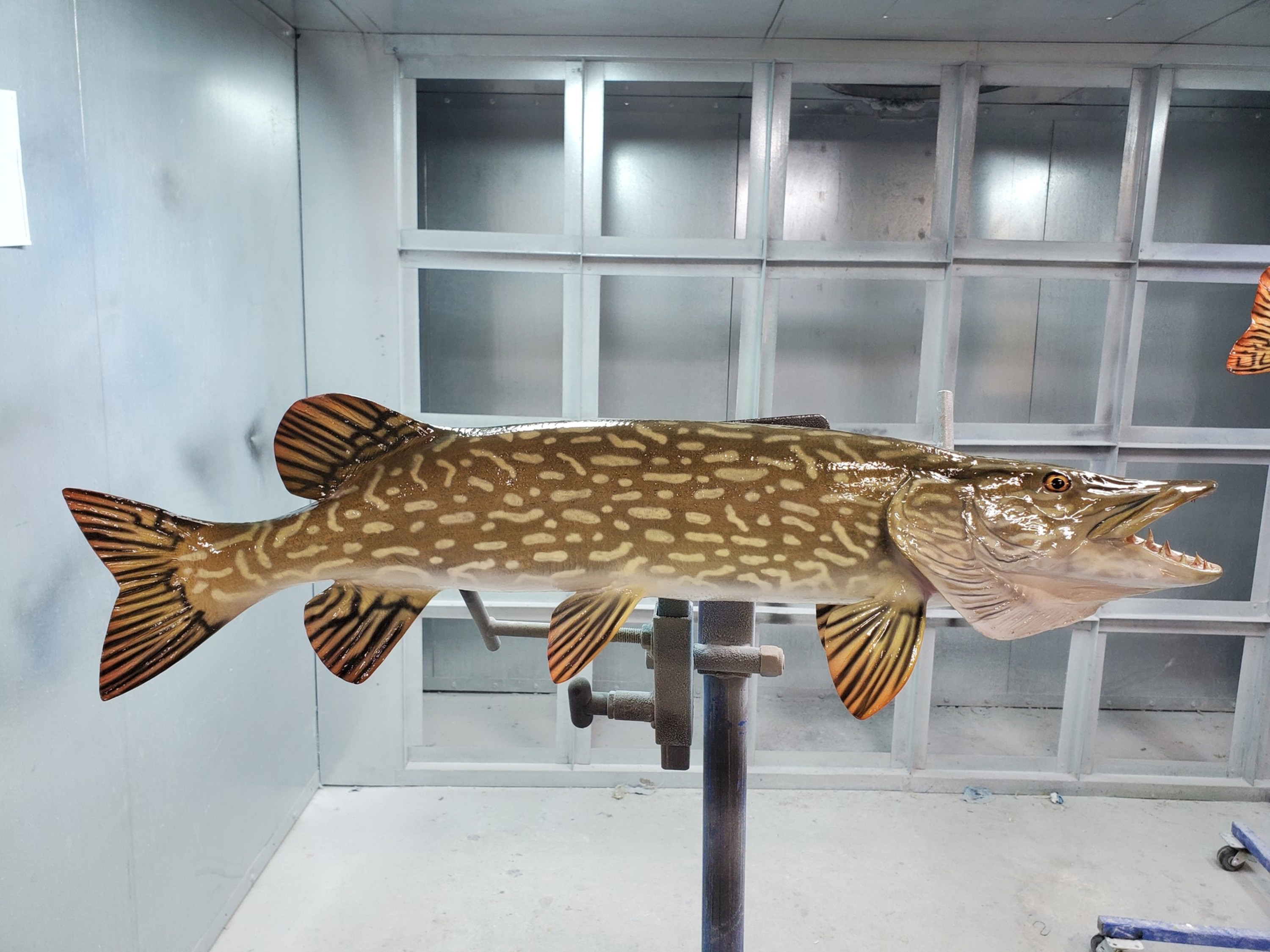 Northern Pike Fish Mounts & Replicas by Coast-to-Coast Fish Mounts