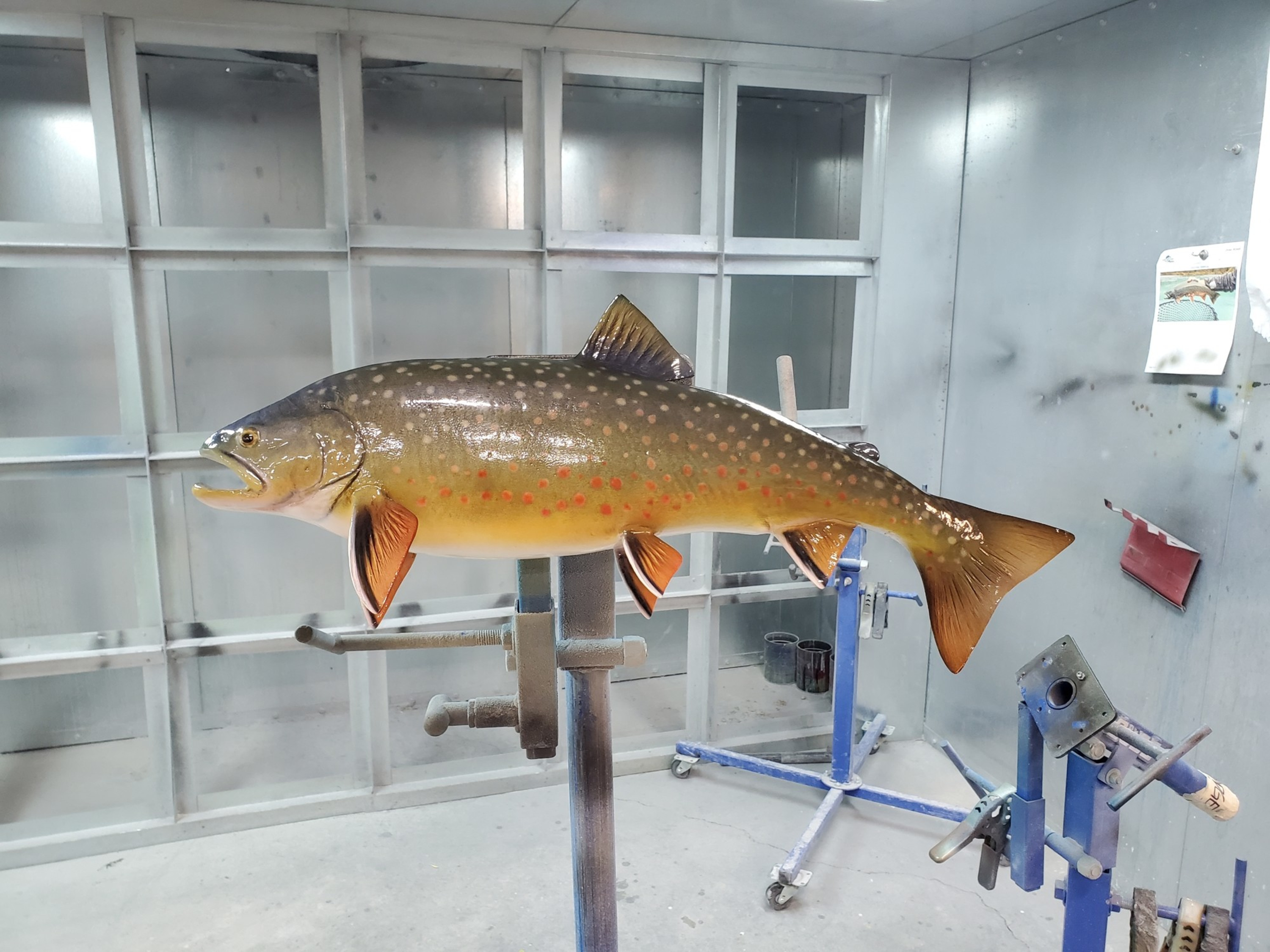 World Class Dolly Varden - Northwest Alaska Back Country