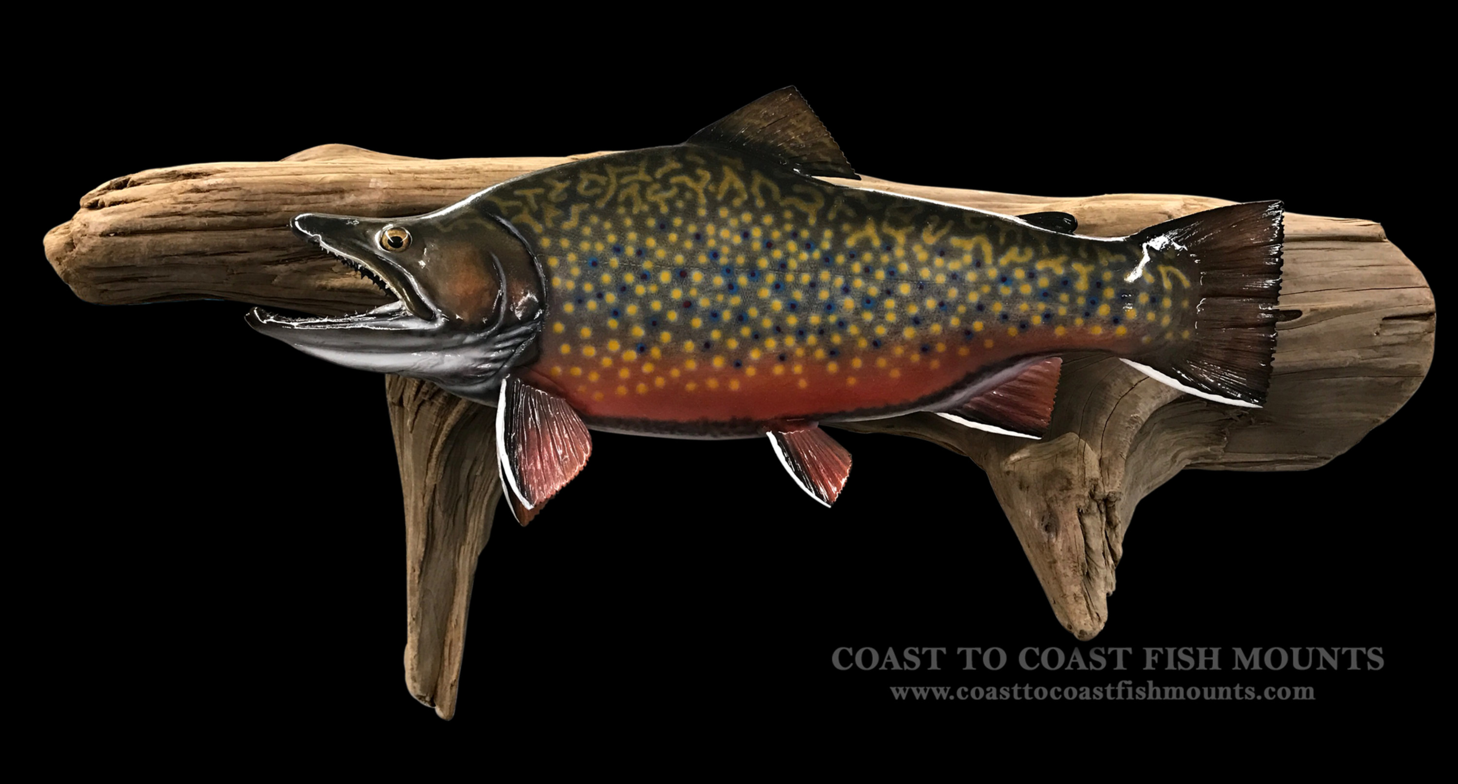 Brook Brown Trout Brook M スウェット | discovermediaworks.com