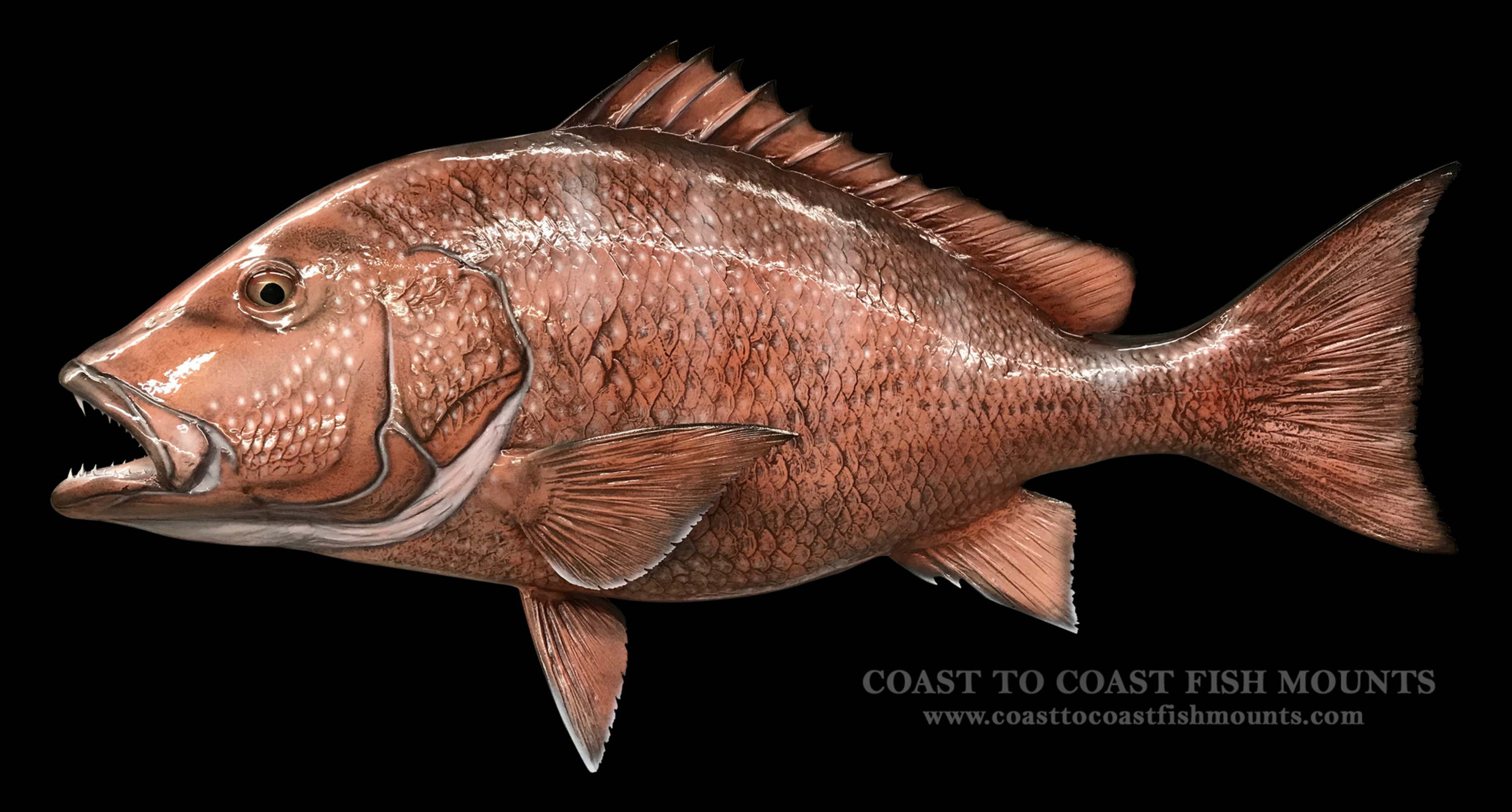Red Fish RED SNAPPER LONG ISLAND Door Mat Saltwater Fish Doormat 1st Quality 