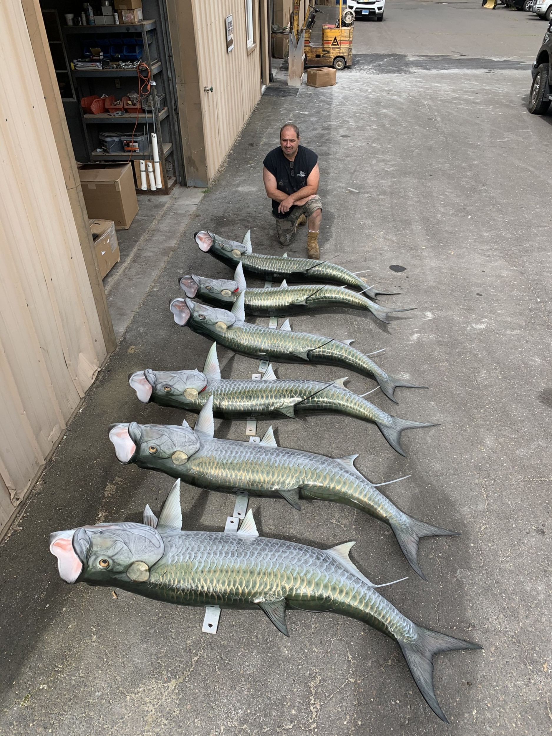 Tarpon Fish Mount stock photo. Image of tarpon, leisure - 130602664