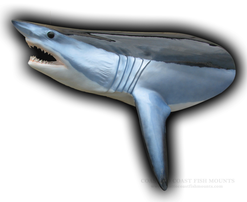 450 lb Mako Shark Head Mount Fish Replica