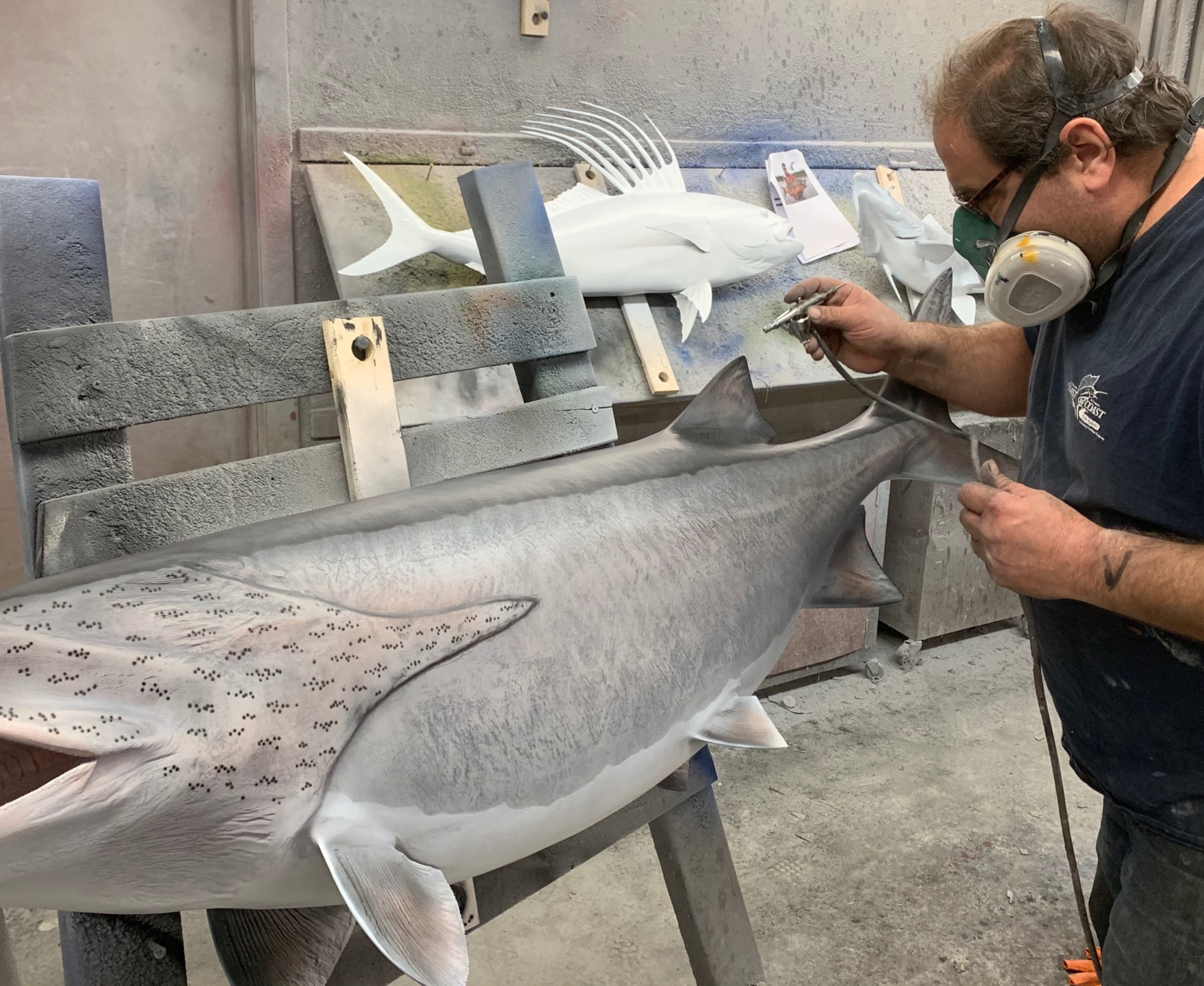 Paddlefish Fish Mounts Replicas By Coast To Coast Fish Mounts