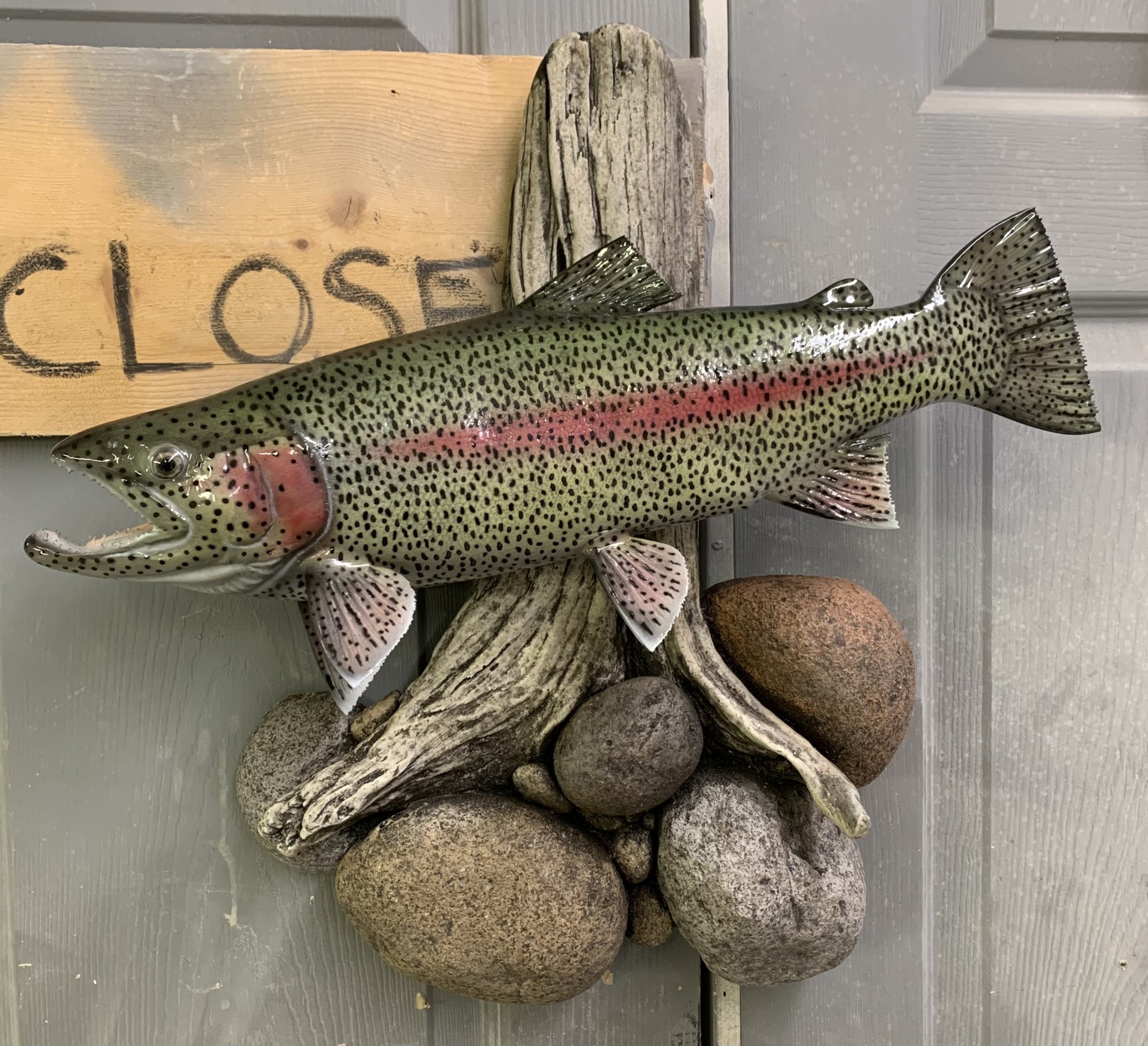 Rainbow Trout Fish Mounts & Replicas by Coast-to-Coast Fish Mounts
