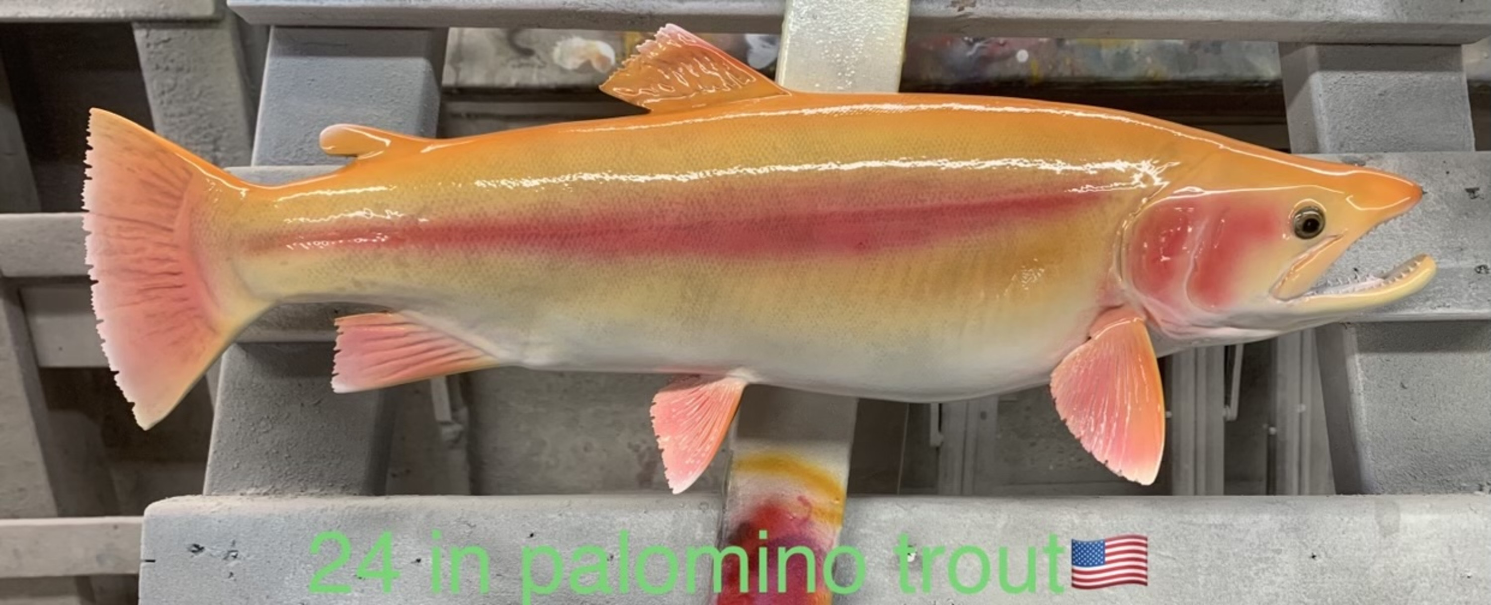 Golden Trout Fish Mounts & Replicas by Coast-to-Coast Fish Mounts