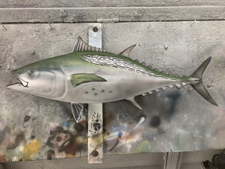 Bonita (False Albacore) Fish Mounts & Replicas by Coast-to-Coast Fish ...