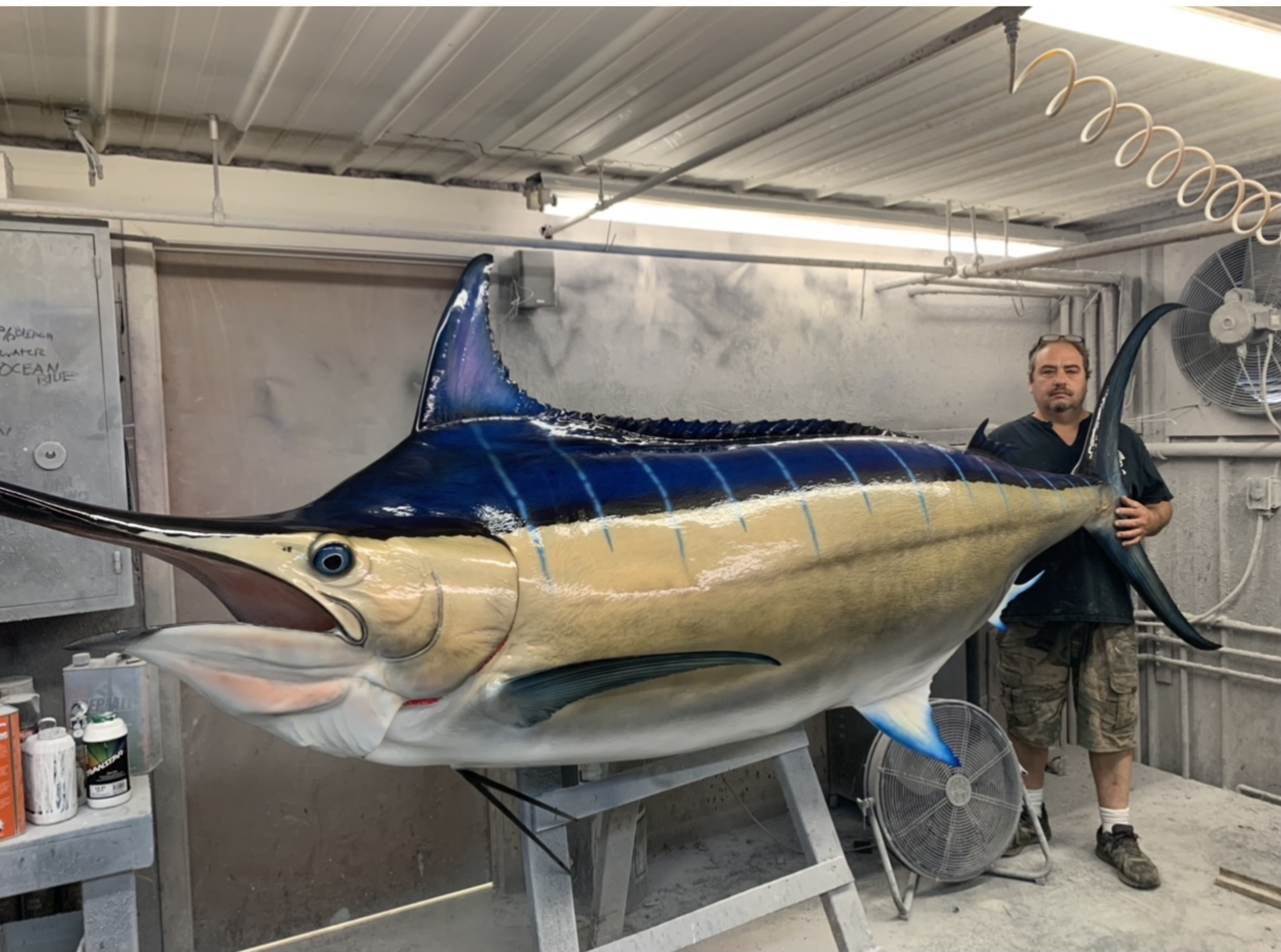 Blue Marlin Fish Mounts & Replicas by Coast-to-Coast Fish Mounts