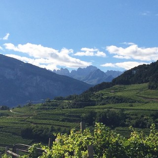 The beautiful vistas of Valle de Cembra in Trentino.  The skies could not have been any more perfect that day.